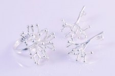 An-Minimal-Corallo-Duo1
