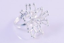 An-Minimal-Corallo1