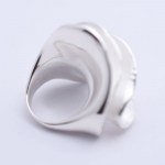 Anello-Onde-Nikon-back