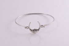 Bangle-luna1