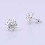 OR-RICCIO-MED-STUD2