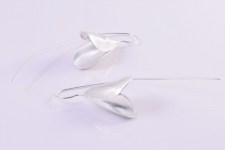 Or-Minimal-Fiore-Campana1
