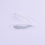 Or-Minimal-Foglia2