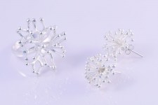 Or-Minimal-Ricciob-Duo1