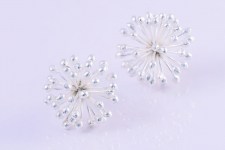 Or-Minimal-Ricciob1