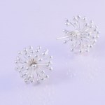 Or-Minimal-Ricciob2
