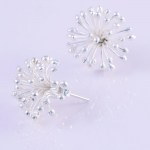 Or-Minimal-Ricciob4