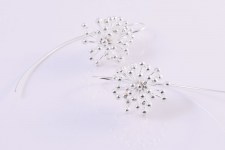 Or-Riccio-Long-Back1