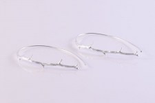 Or-ramo-longback1