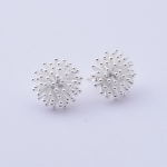 Or-riccio-small2