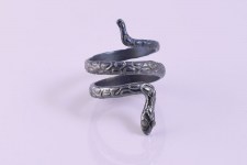 an-snake-black1