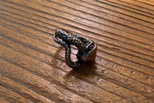 an-steel-man-snake-life
